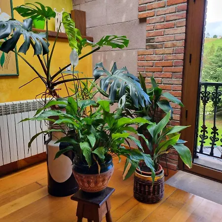C07a01 Casa Con Encanto En Casa de Férias Carrejo